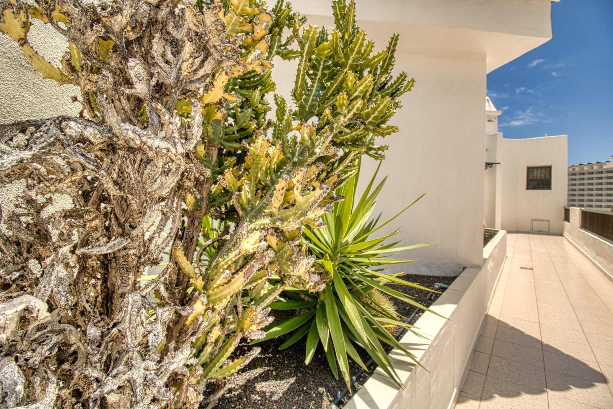 Penthouse Sea View Jacuzzy Terrace & Pool Apartment Playa Feñabe Exterior foto